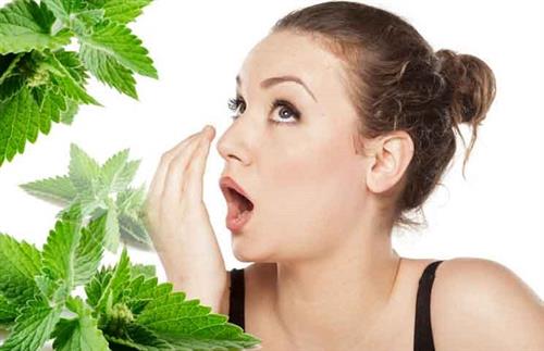 Mẹo chữa hôi miệng tại nhà siêu hiệu quả mà bạn cần biết